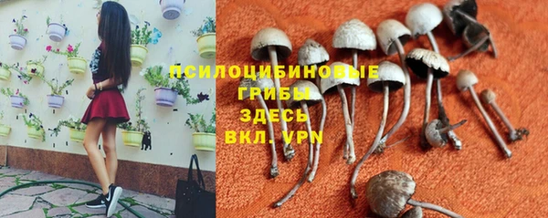 стафф Алексин