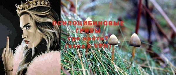 спайс Абинск