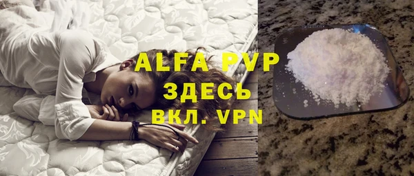 стафф Алексин