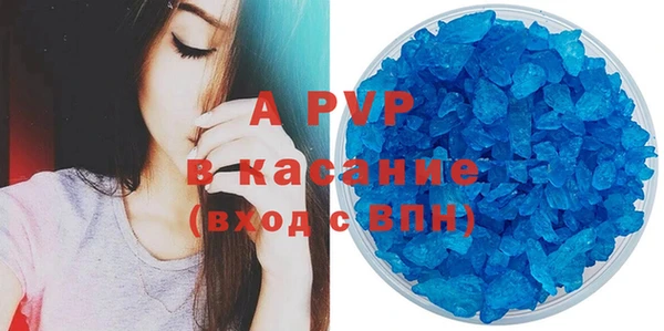 стафф Алексин