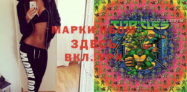 прущий лед Алзамай