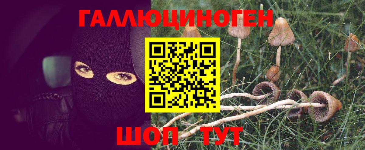 Ступино  Псилоцибиновые грибы MAGIC MUSHROOMS  Вход с VPN 